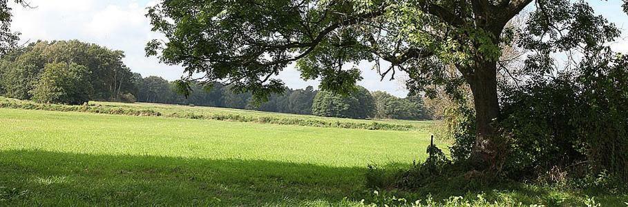 Pension & Gasthof Storchennest Gross Quassow Bagian luar foto